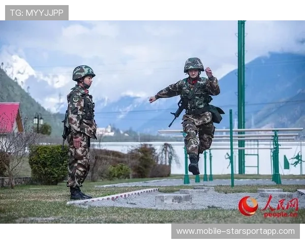 战术执行成功率持续提升